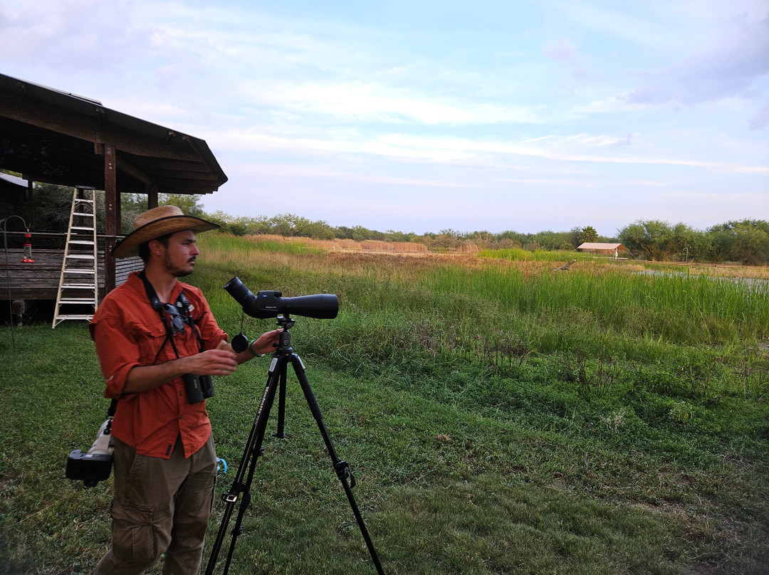 American Birding Guides-Patagonia必去景点