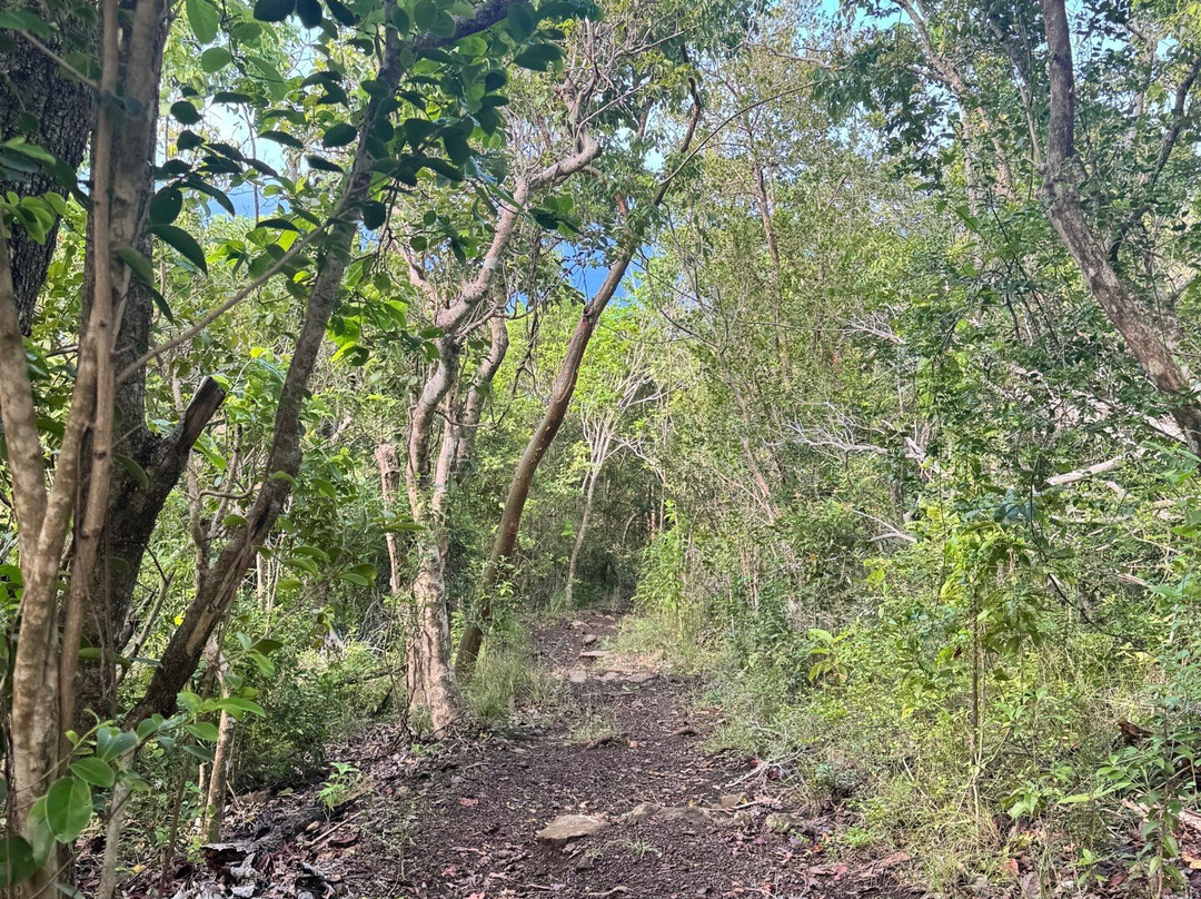 Quill National Park-圣尤斯泰希厄斯岛必去景点