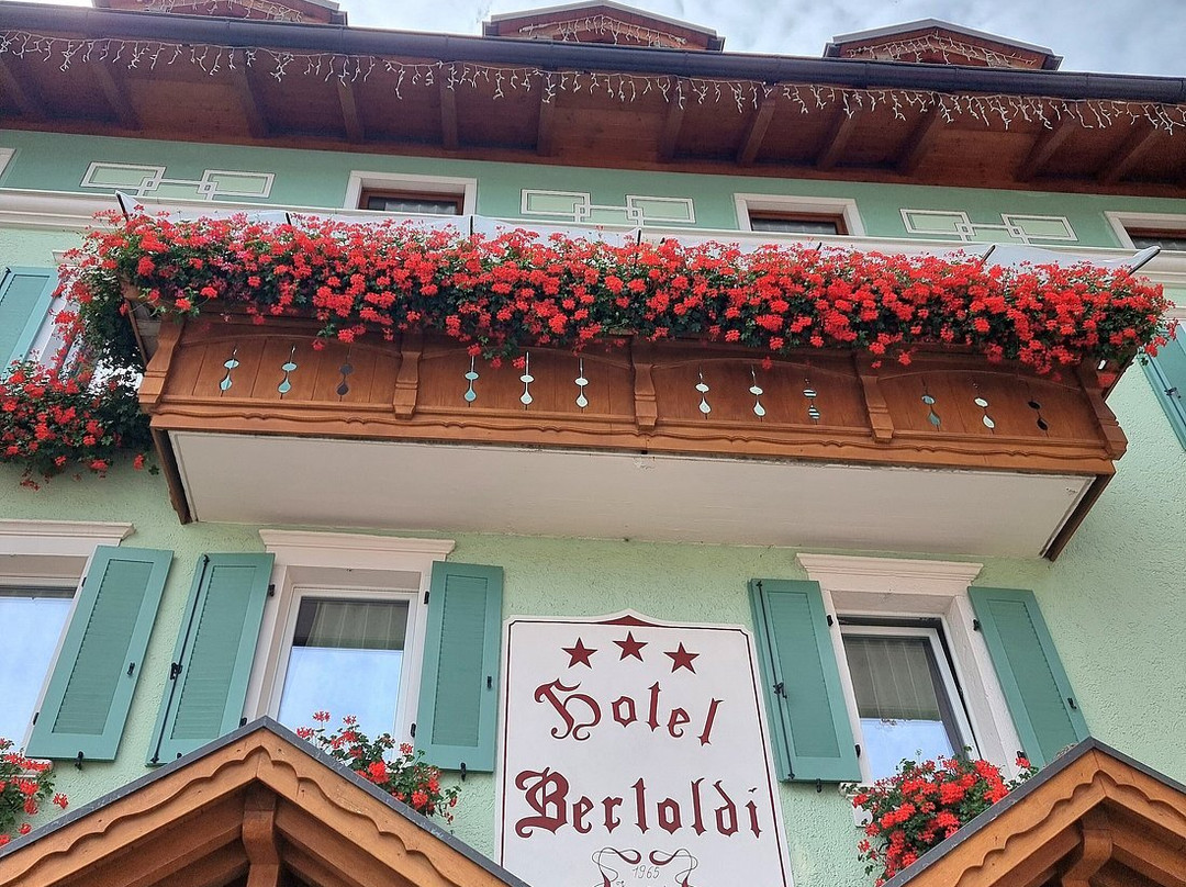 Hotel Bertoldi主图