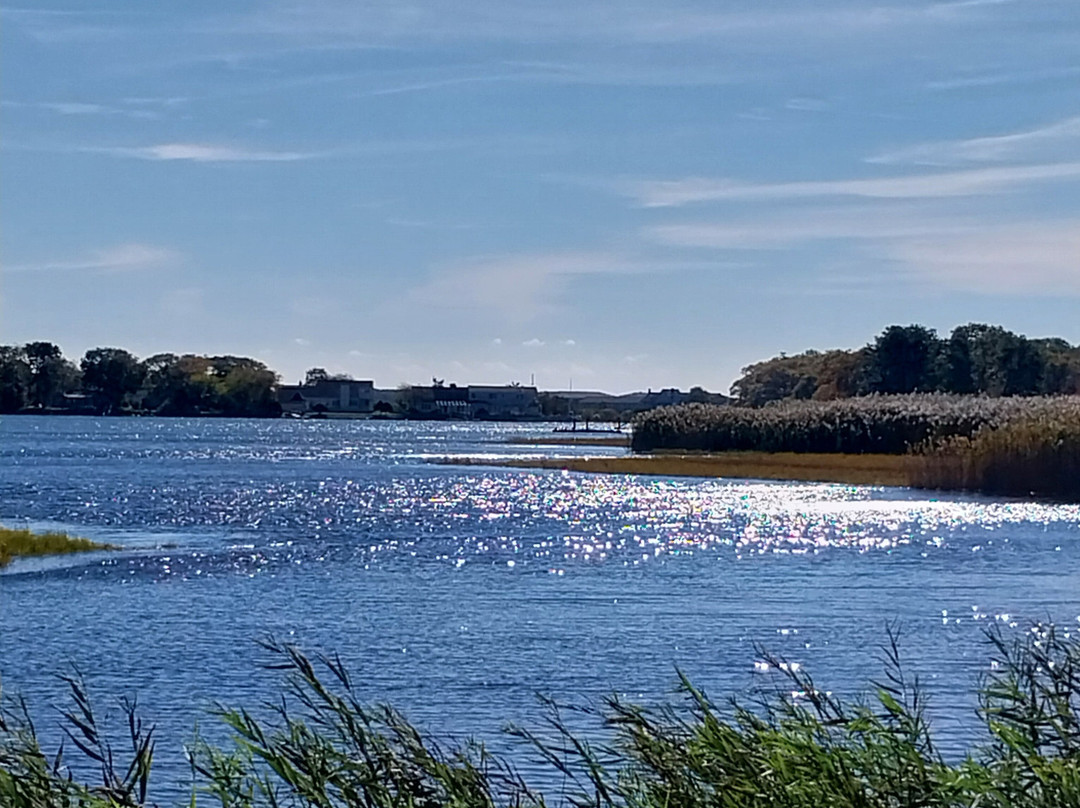 Cape Sands Inn主图