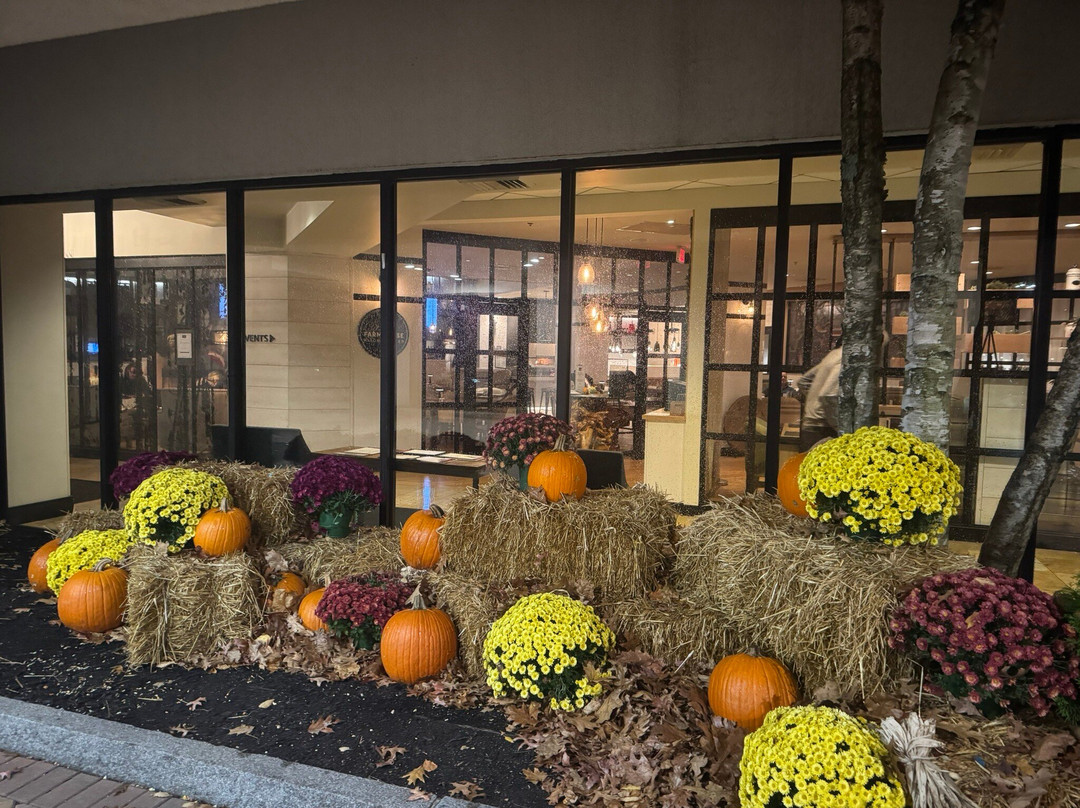 波特兰塞布尔奥克斯万豪酒店主图