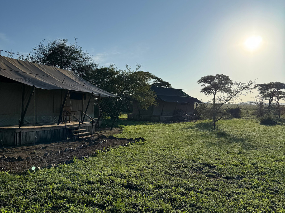 GMExpeditions-阿鲁沙必去景点