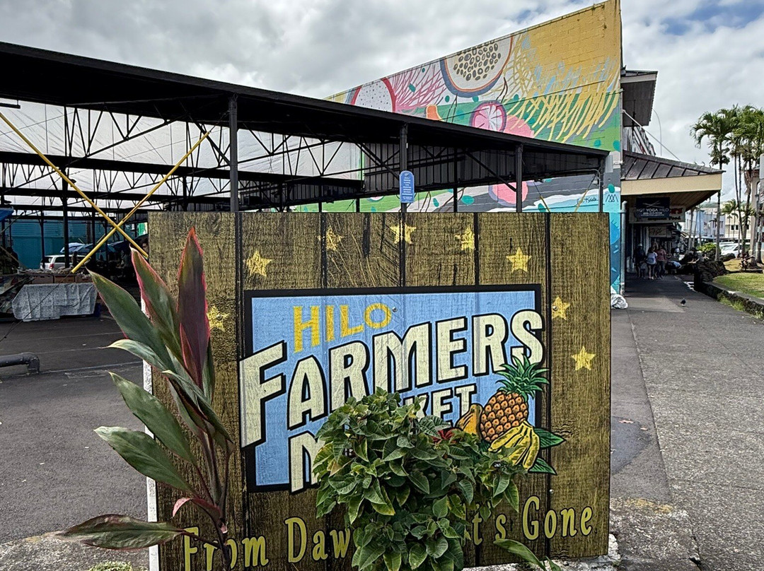 希洛农贸市场-希洛必去景点