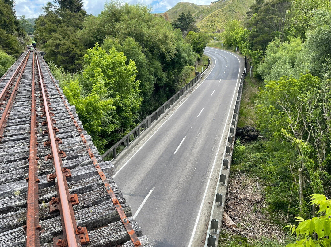 Gisborne Railbike Adventure-吉斯本必去景点