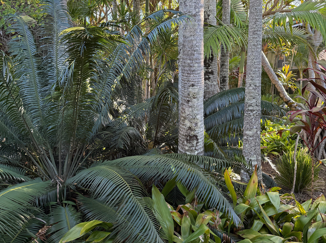 巴利纳品质酒店主图