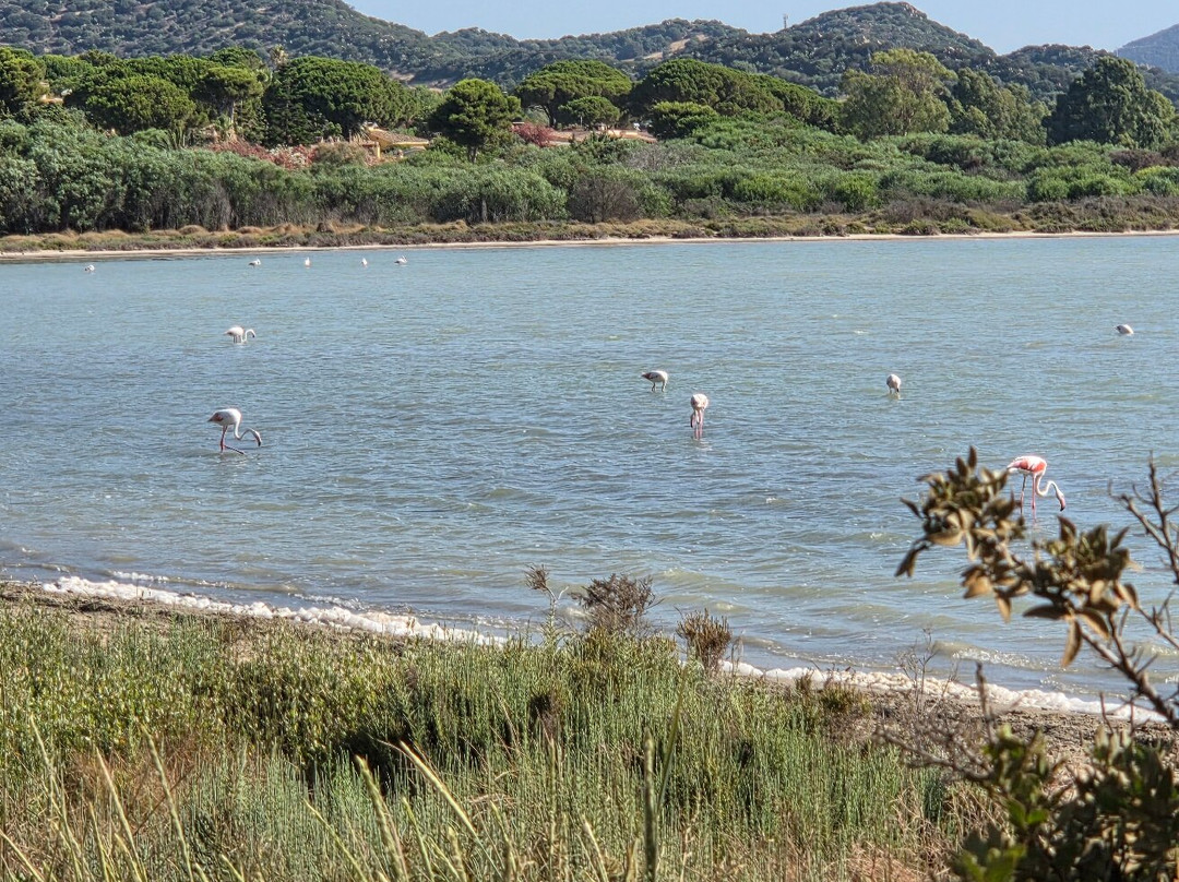 Spiaggia di Porto Giunco-维拉西谬斯必去景点