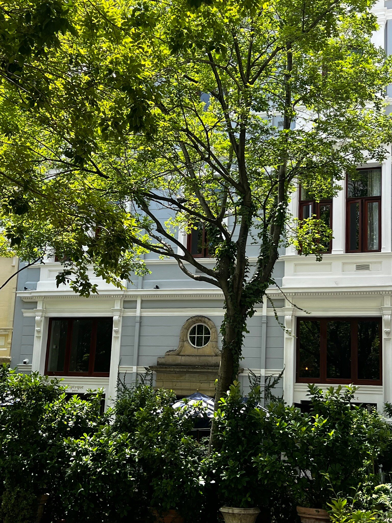 Labotessa Luxury Boutique Hotel-官方