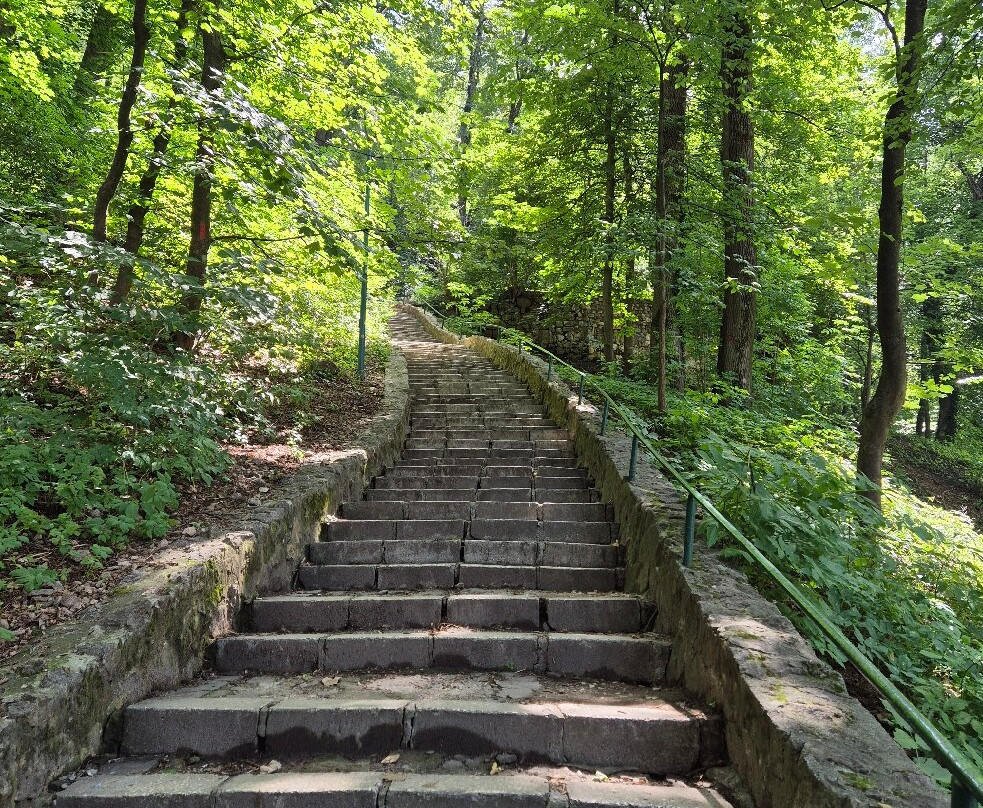 Muntele Tâmpa-布拉索夫必去景点