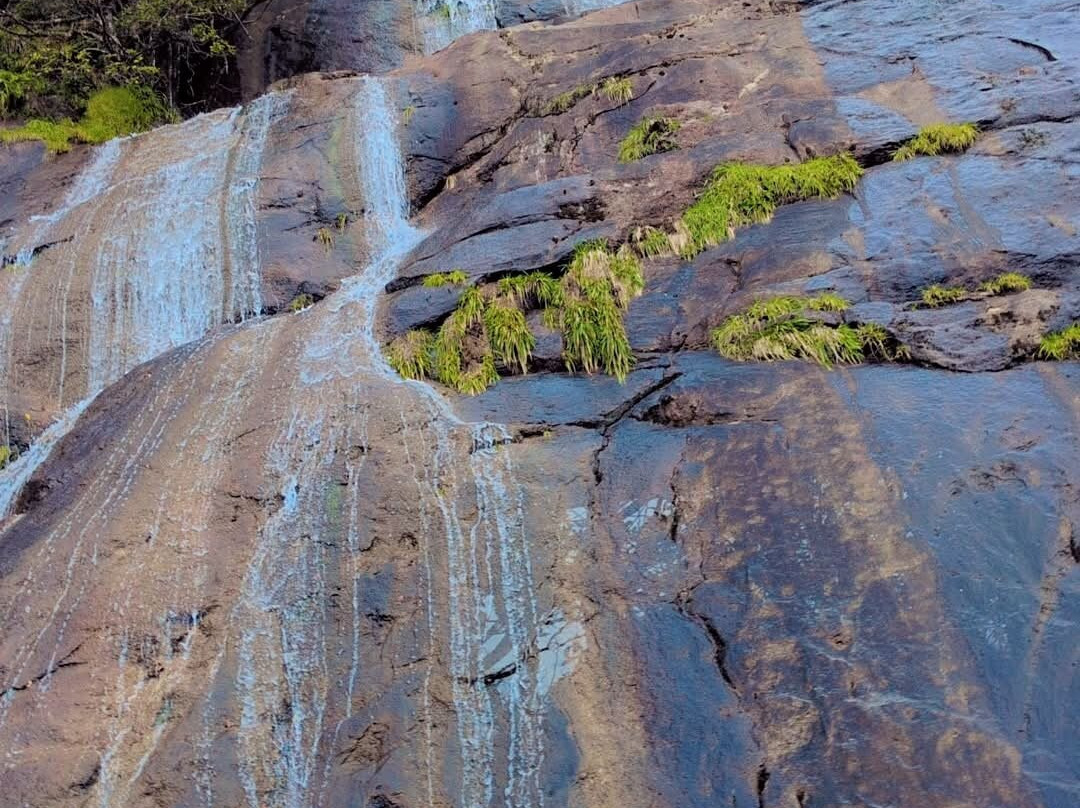 Kerala Holidays-柯钦必去景点