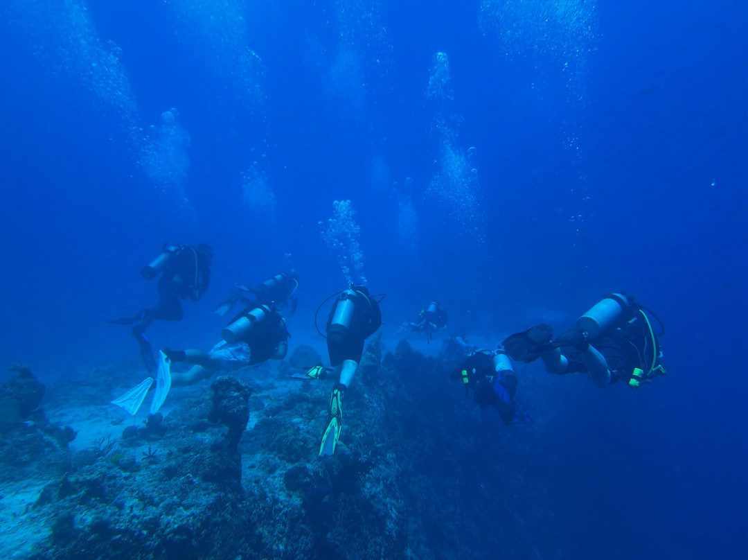 Dive Savusavu Fiji-萨武萨武必去景点