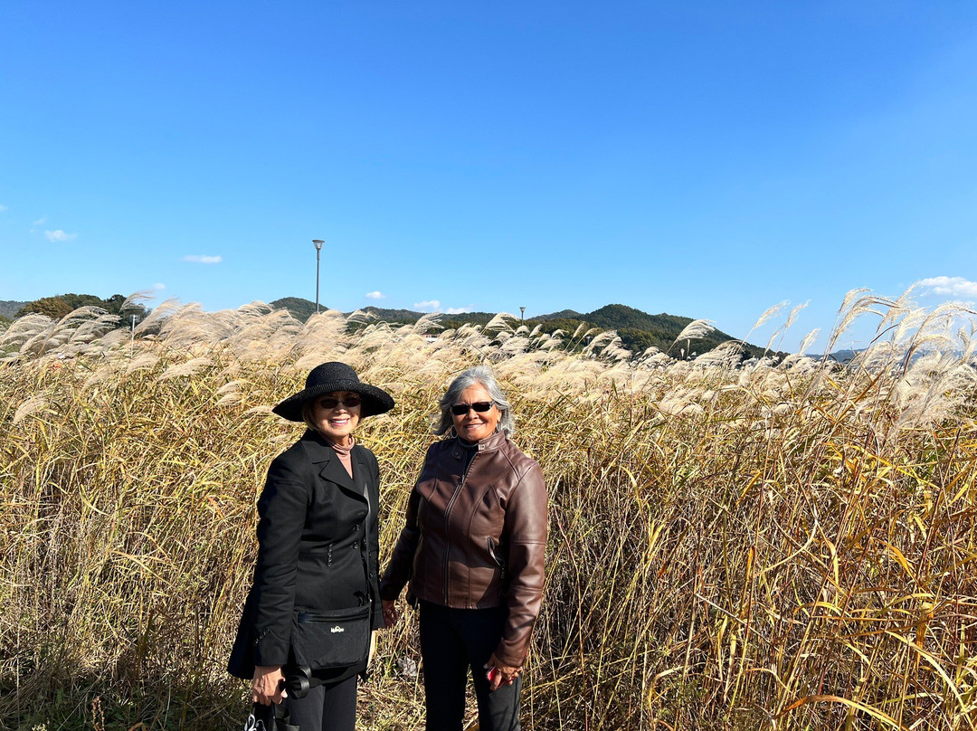 Gangcheon Island-骊州郡必去景点