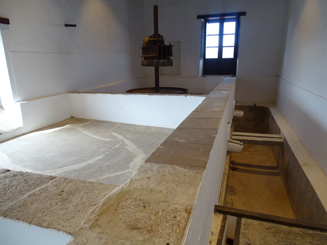 Finca Testeina - Bodegas Vega de Yuco-Masdache必去景点