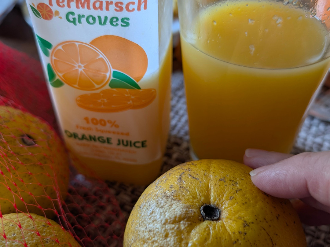 TerMarsch Groves-朱诺海滩必去景点