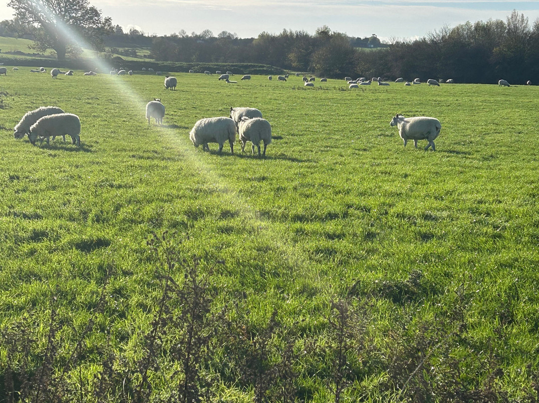 Croft Farm Water Park-Bredons Hardwick必去景点