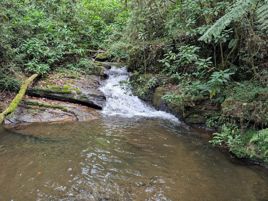 Ranomafana National Park-Fianarantsoa必去景点