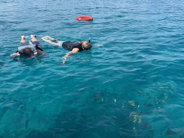 M & J's Charters-格雷斯湾必去景点