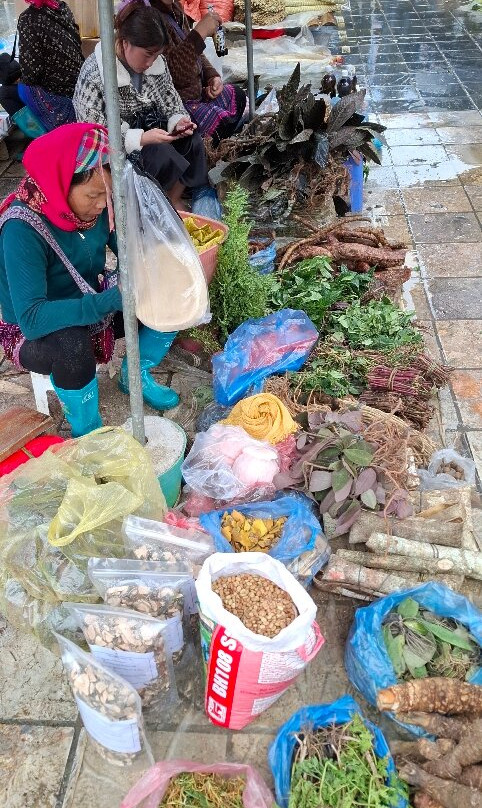 Capannam Travel-河内必去景点