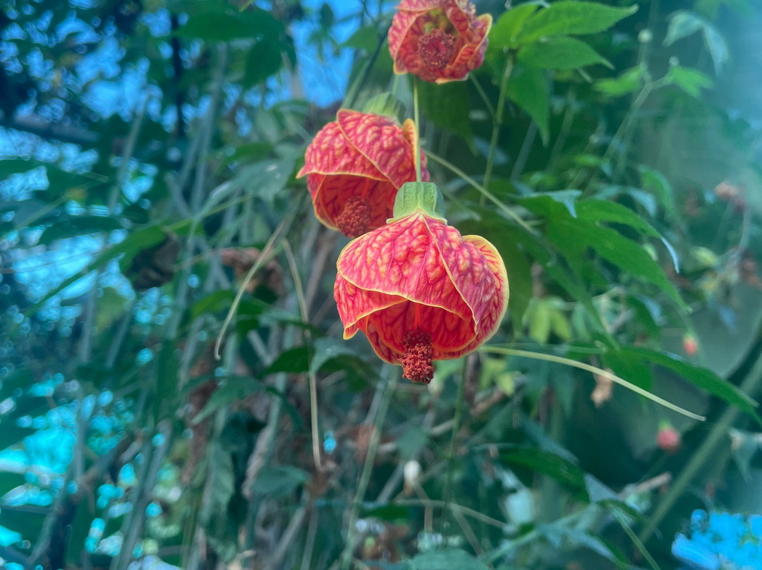 The Bug Parc-Lenwade必去景点