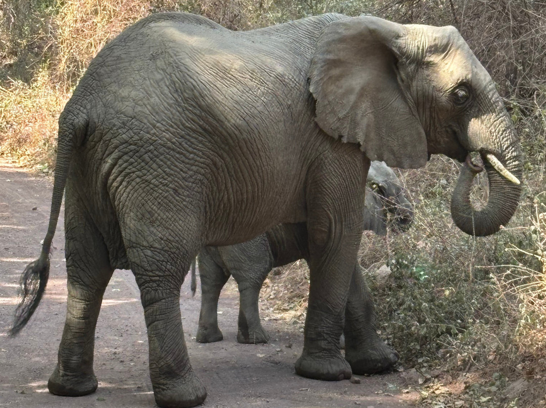Exotic Wilderness-Seronera必去景点