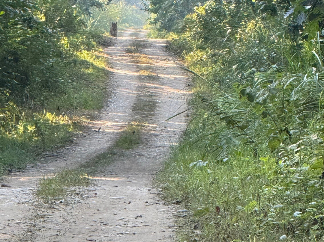 Himalaya Reisen-Wettingen必去景点