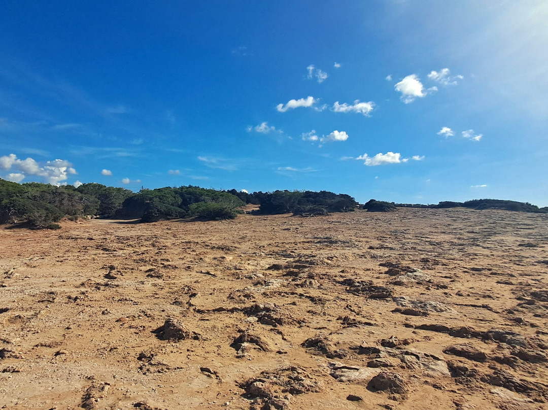 Cala Codolar-桑特霍塞普德萨塔莱阿必去景点