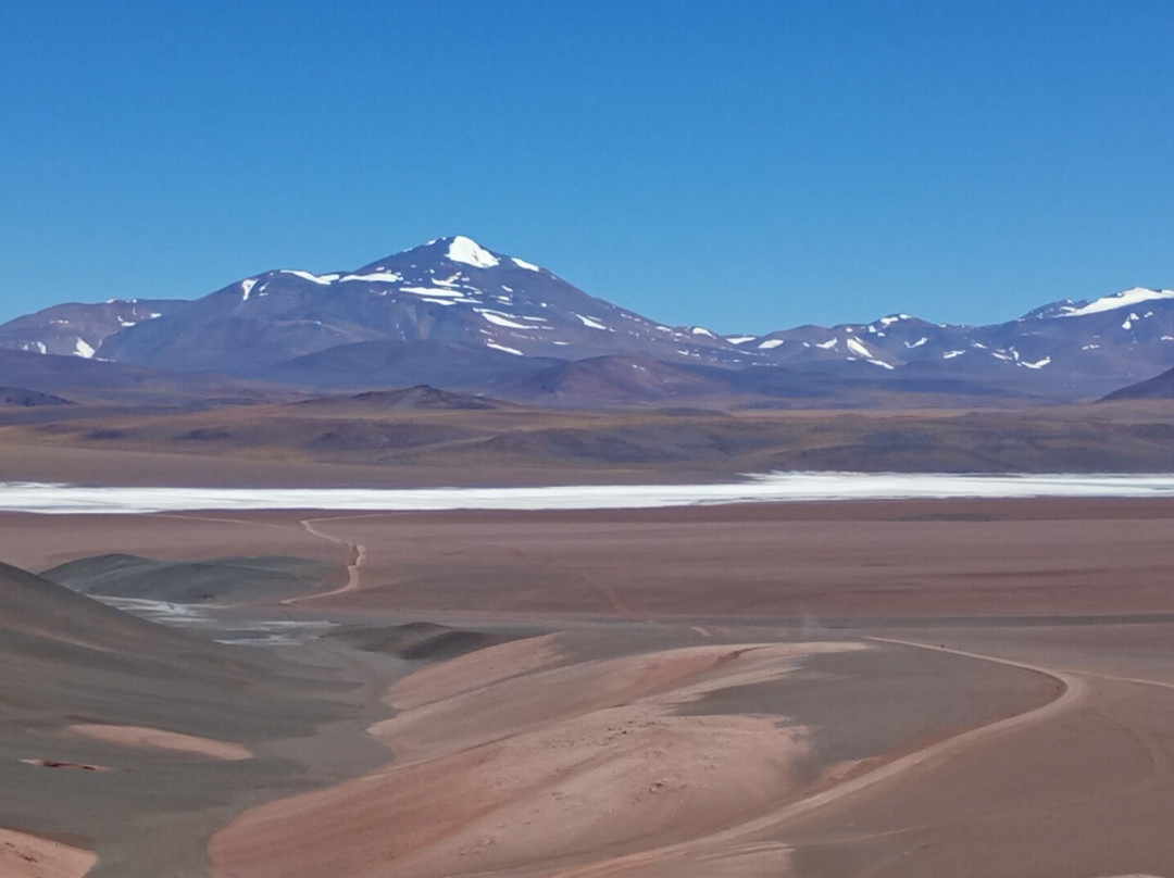Laguna Brava-null必去景点