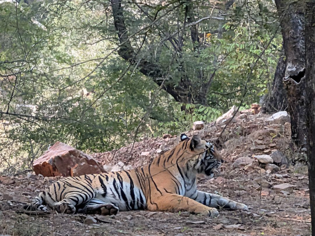 Satto Gurjar-Bharatpur必去景点