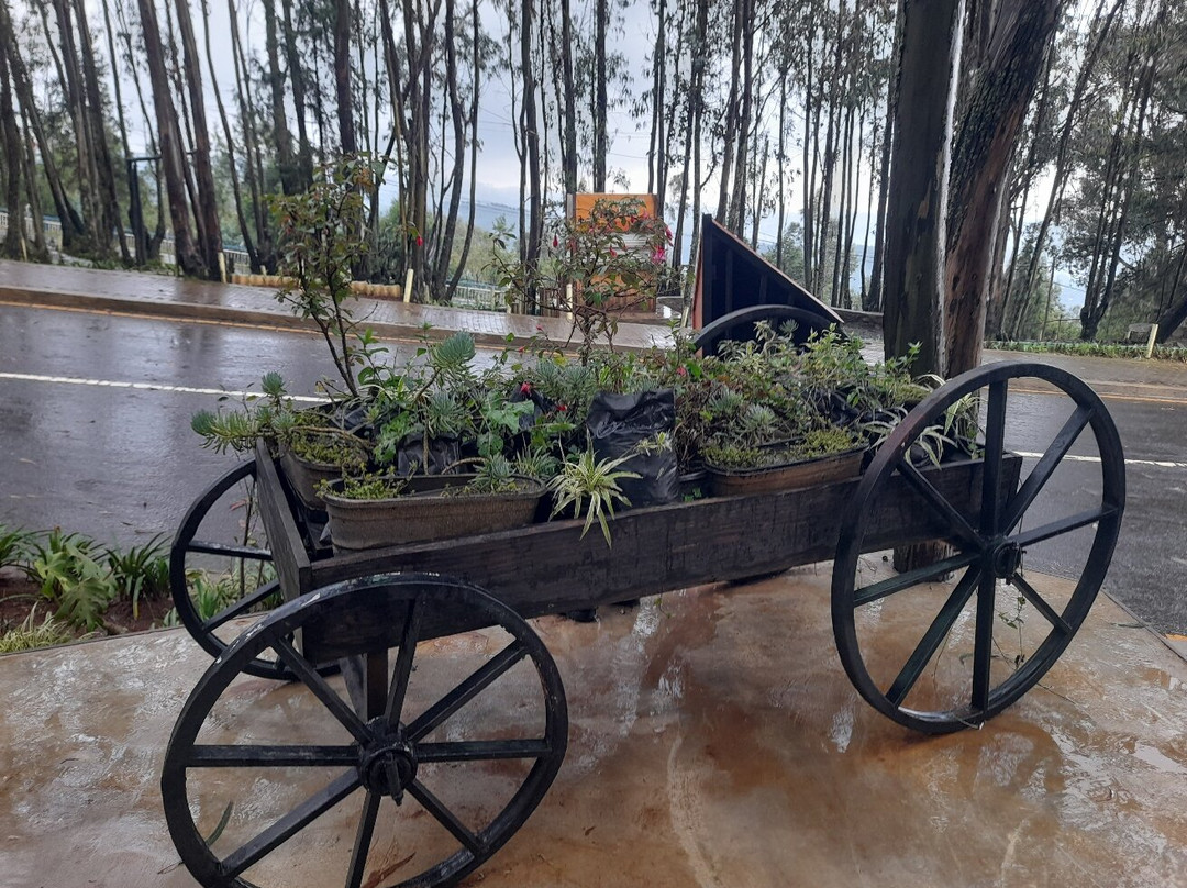 Entoto Natural Park-亚的斯亚贝巴必去景点