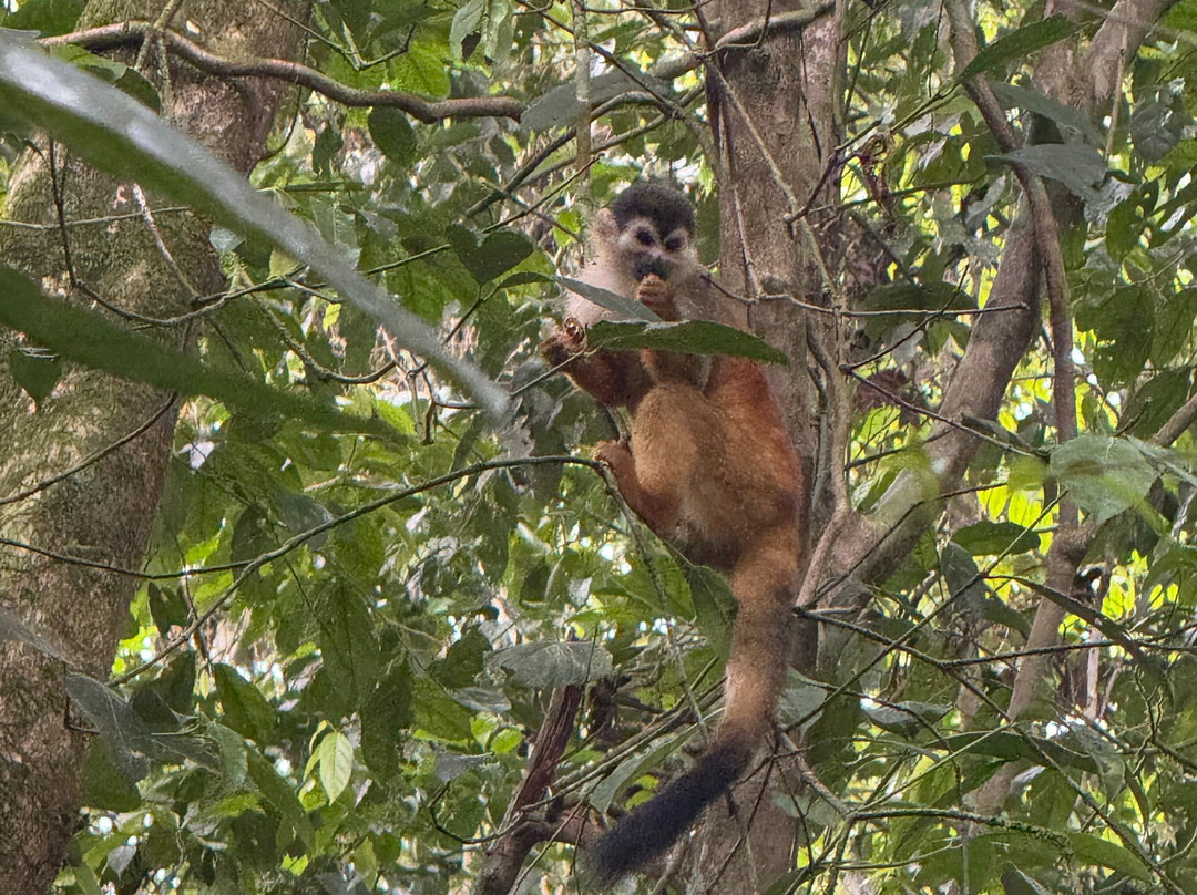 Sukia Travel-德雷克湾必去景点