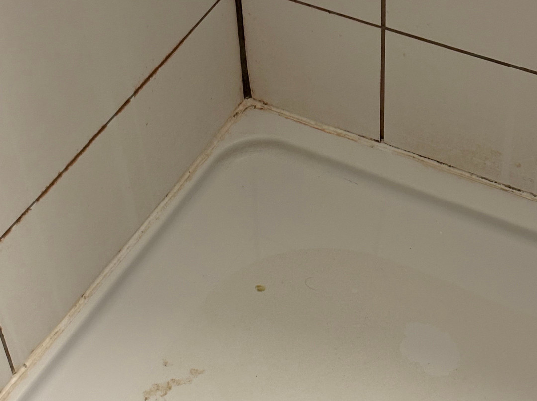 Ramada Bristol M5主图