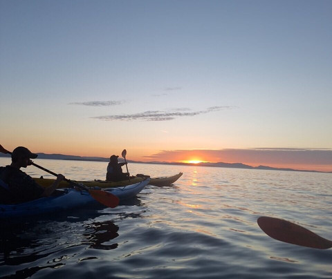 Sea Quest Kayak Tours-星期五港湾必去景点