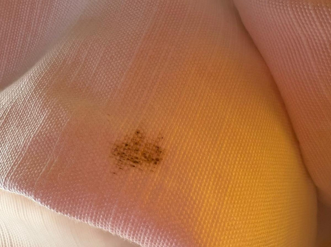 Podere degli Olmi-Foiano della Chiana必去景点