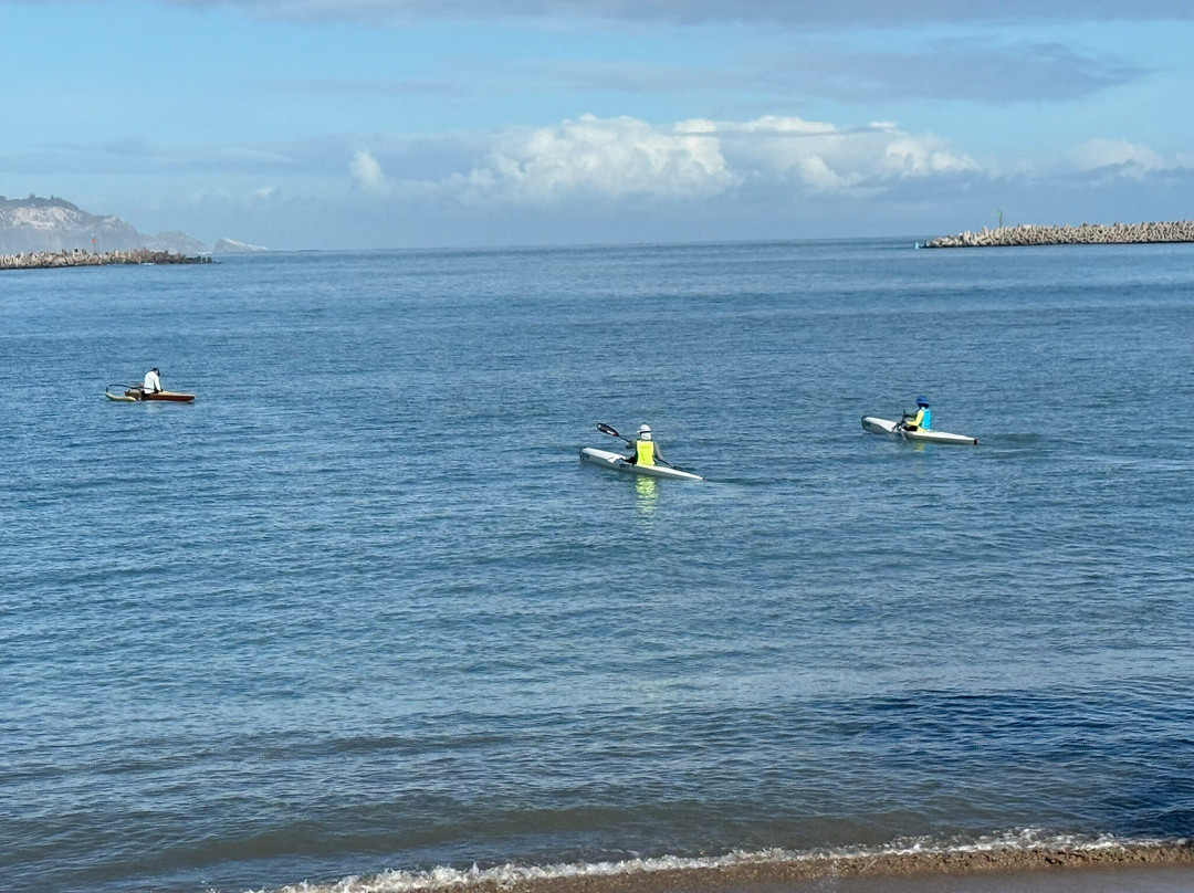 Hoaloha Park-卡胡卢伊必去景点
