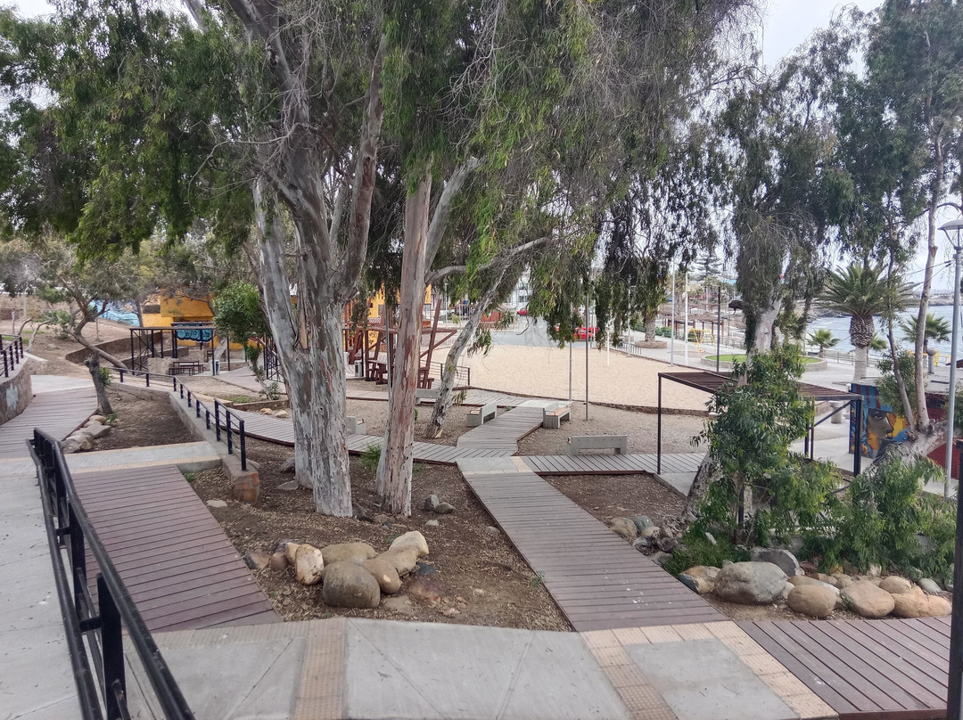 Costanera de Huasco-Huasco必去景点