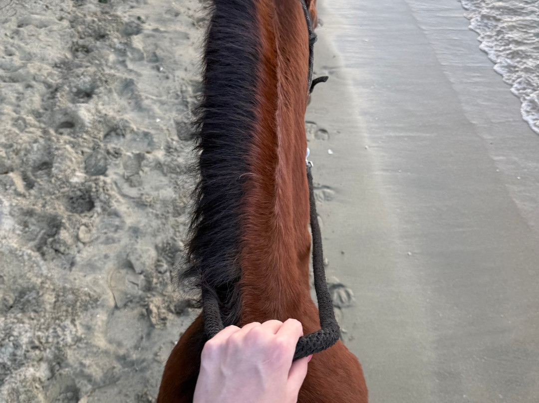 Jurutungo Farm-Florida必去景点