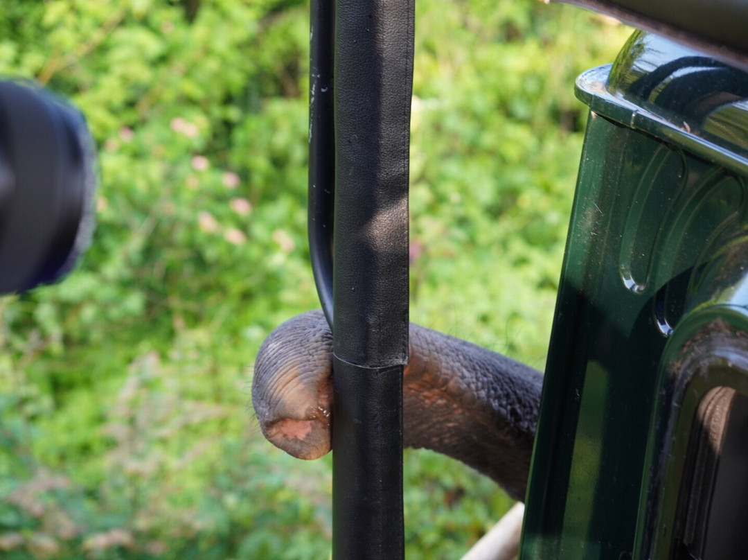 Udawalawe Lahiru Safari Guide Tours-乌达瓦拉维国家公园必去景点