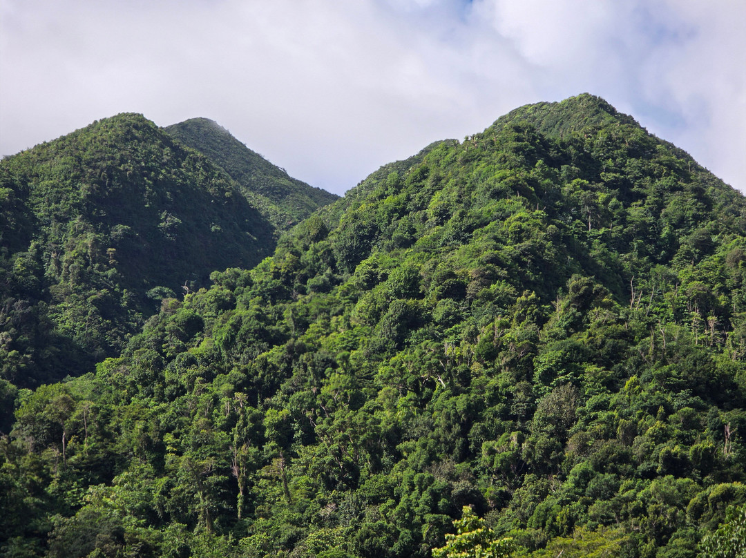 My Island Adventures with Chadi Symes-罗索必去景点