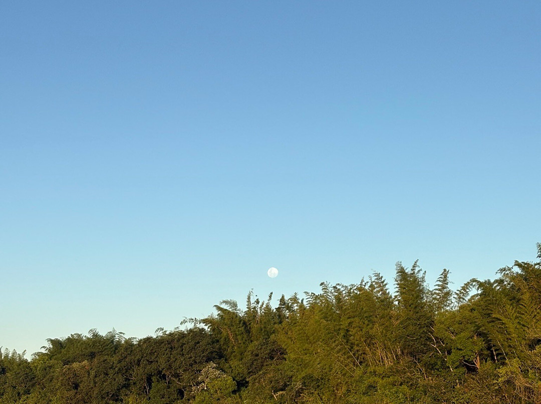 Navegando Ituzaingó-Ituzaingo必去景点