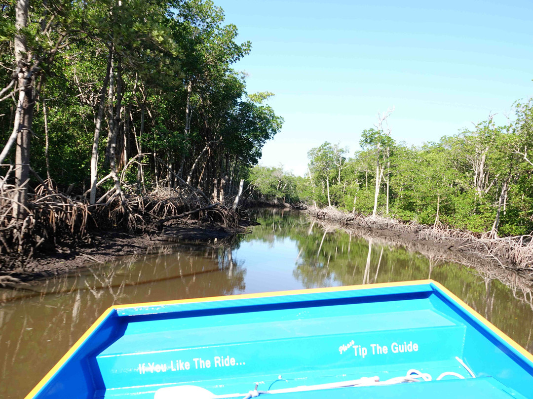 Everglades City Airboat Tours-大沼泽地必去景点