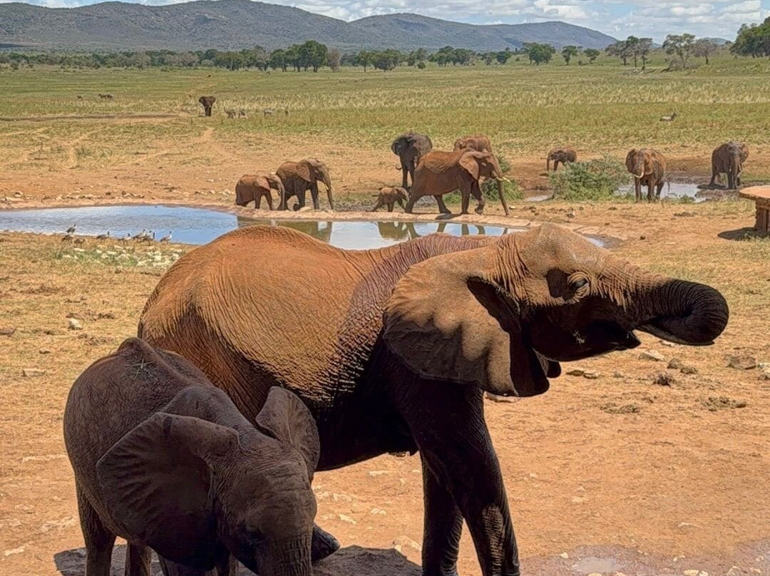 Polki W Podróży-比亚韦斯托克必去景点
