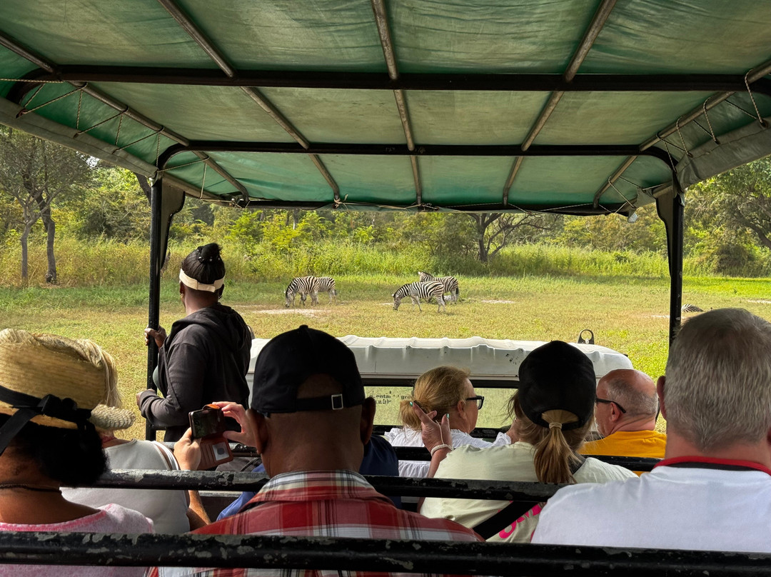 Fathala Wildlife Reserve-Dassilame Ba必去景点