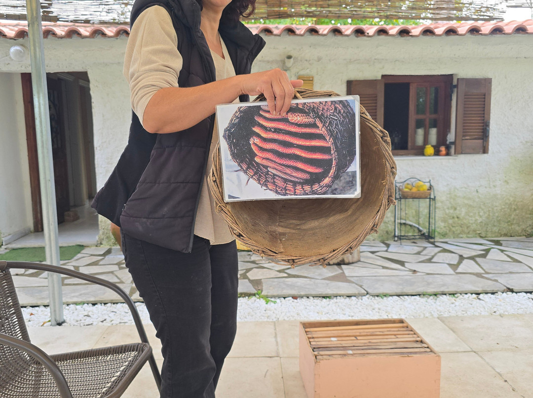 Klio's Honey Farm-奥林匹亚必去景点