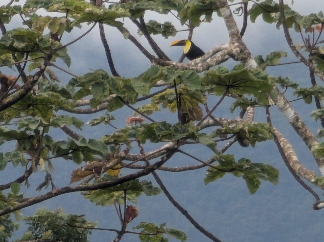 Brother's Adventures Tours-萨迪纳尔必去景点