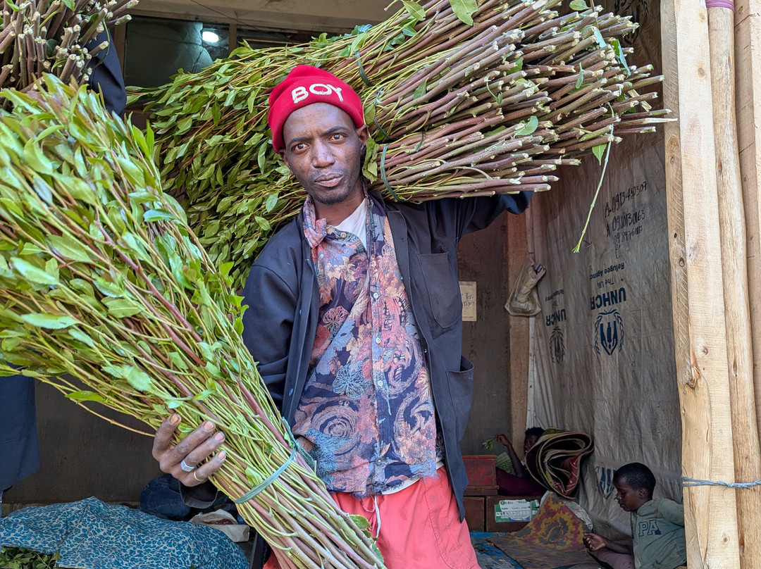 Joel Harar Tours-哈勒尔必去景点