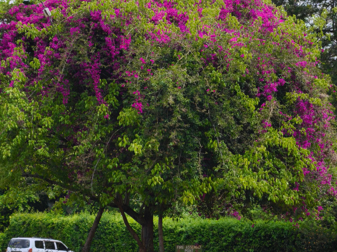 Blue Post Hotel主图