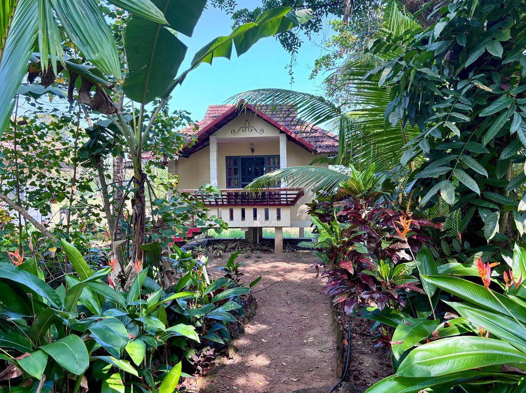 Green Palm Homes主图