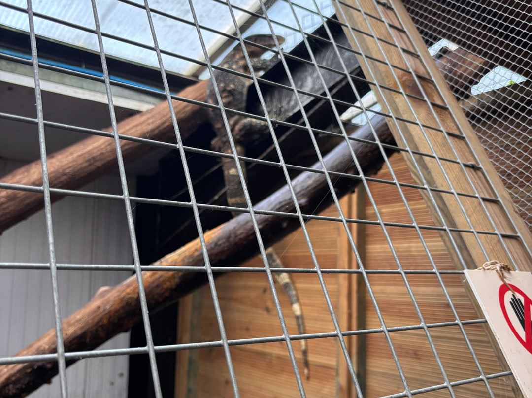 Johnsons Of Old Hurst-亨廷顿必去景点