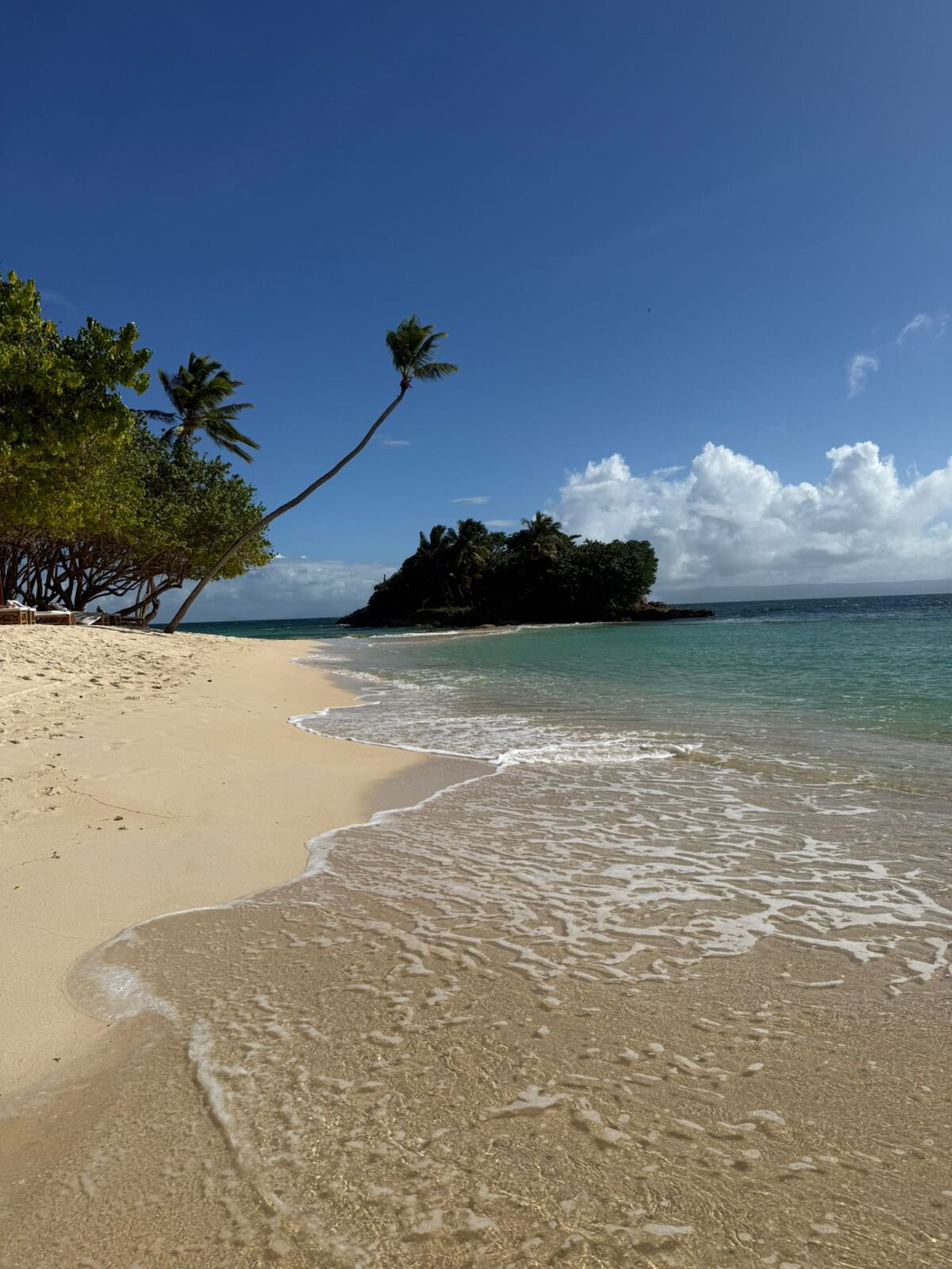 Cayo Levantado Resort-泳池