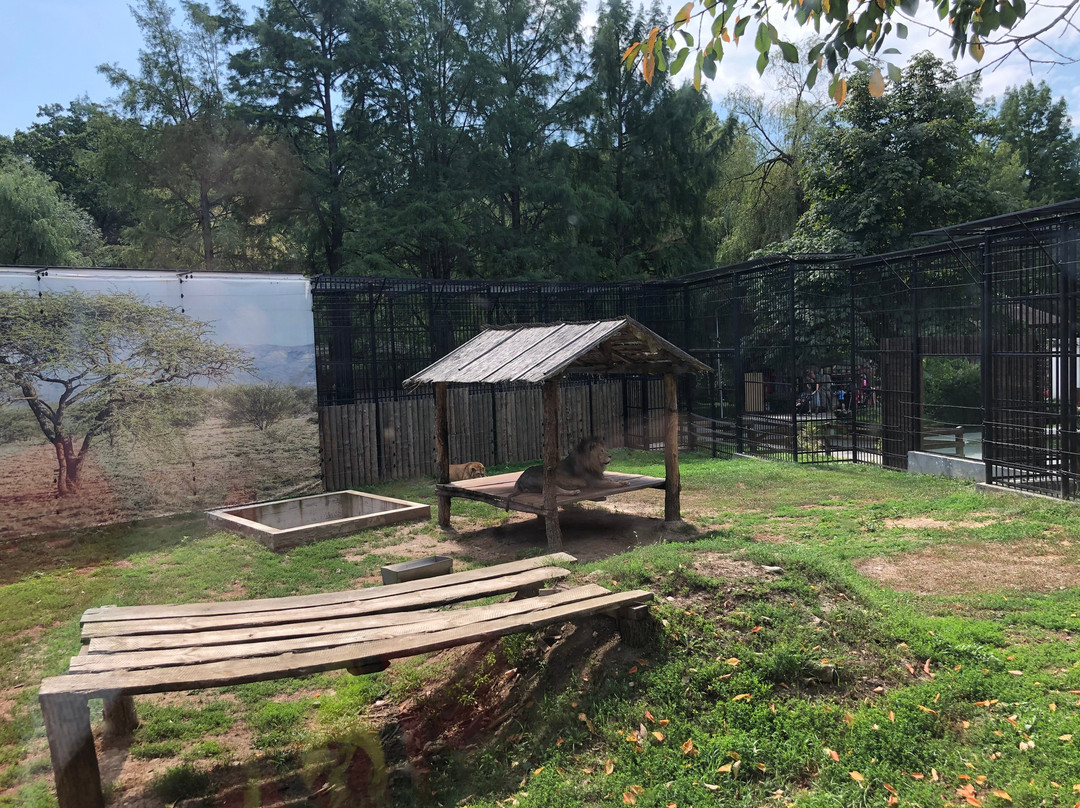 Sibiu Zoological Garden-锡比乌必去景点