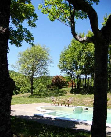 Tenuta Savorgnano主图